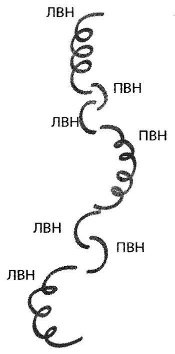 Приказ Министерства спорта Российской Федерации от 31.01.2019 N 61 "Об утверждении Единой всероссийской спортивной классификации (виды спорта, включенные в программу Олимпийских зимних игр)"
