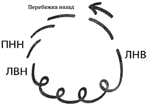 Приказ Министерства спорта Российской Федерации от 31.01.2019 N 61 "Об утверждении Единой всероссийской спортивной классификации (виды спорта, включенные в программу Олимпийских зимних игр)"