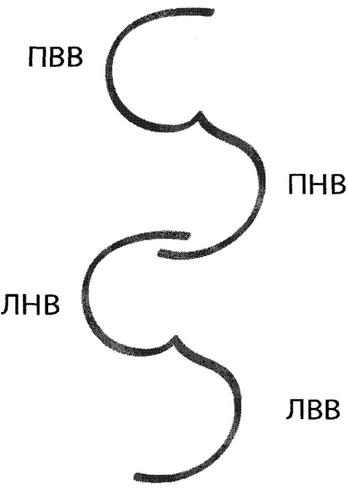 Приказ Министерства спорта Российской Федерации от 31.01.2019 N 61 "Об утверждении Единой всероссийской спортивной классификации (виды спорта, включенные в программу Олимпийских зимних игр)"