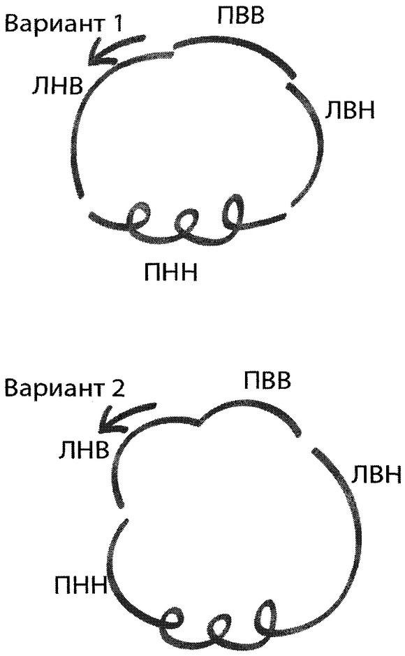 Приказ Министерства спорта Российской Федерации от 31.01.2019 N 61 "Об утверждении Единой всероссийской спортивной классификации (виды спорта, включенные в программу Олимпийских зимних игр)"
