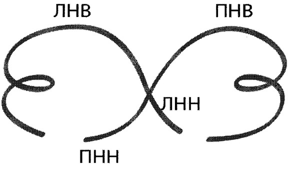 Приказ Министерства спорта Российской Федерации от 31.01.2019 N 61 "Об утверждении Единой всероссийской спортивной классификации (виды спорта, включенные в программу Олимпийских зимних игр)"